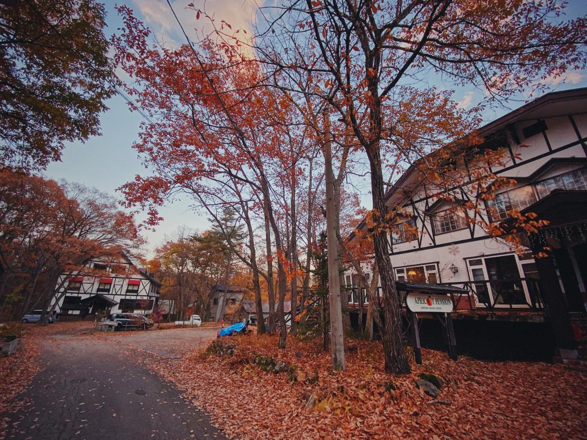 ホテル アプリコットペンション 白馬村 エクステリア 写真