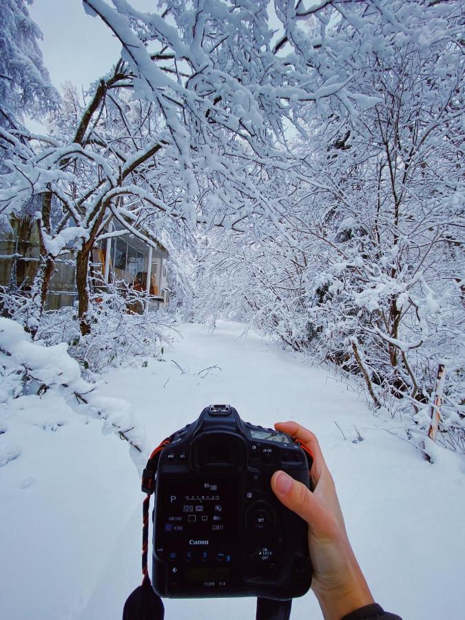 ホテル アプリコットペンション 白馬村 エクステリア 写真